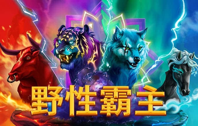 qy千赢国际官网